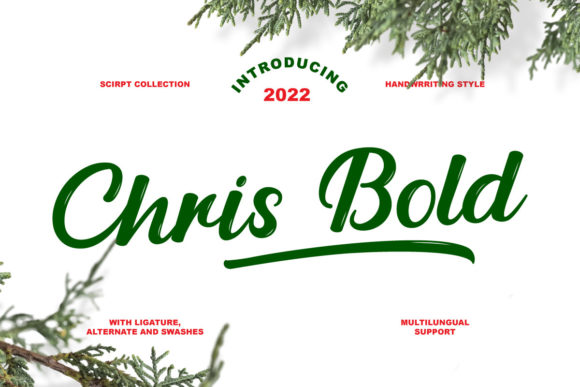Chris Bold: A Designer’s Review of This Script Amp Typeface