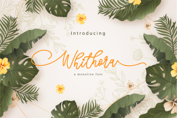 Whithora: The Elegant Script Font for Marketers