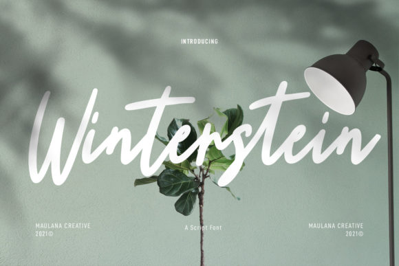 Winterstein Font Review for Web Designers